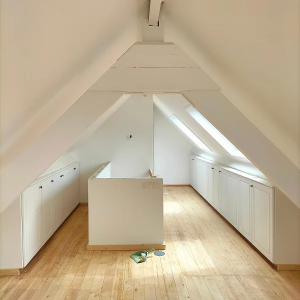Fenêtres de toit et optimisation des combles